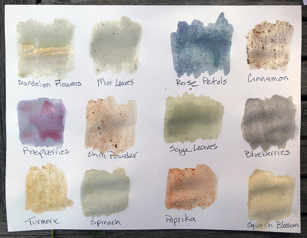 white paper with watercolor swatches, 12 colors in all. 