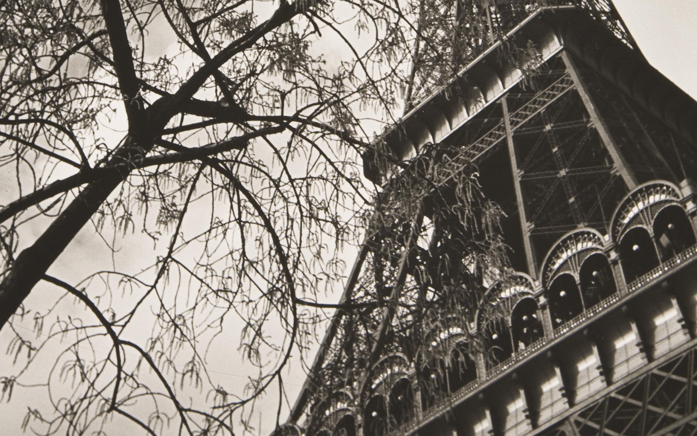 Ilse Bing (German, 1899-1998), Paris, Eiffel Tower with Branches, 1933, printed 1993, gelatin silver print, 13 7/16 in x w: 8 15/16 inches, gift of Dr. Steven K. and Yasemin Miller, UMFA2012.11.8.